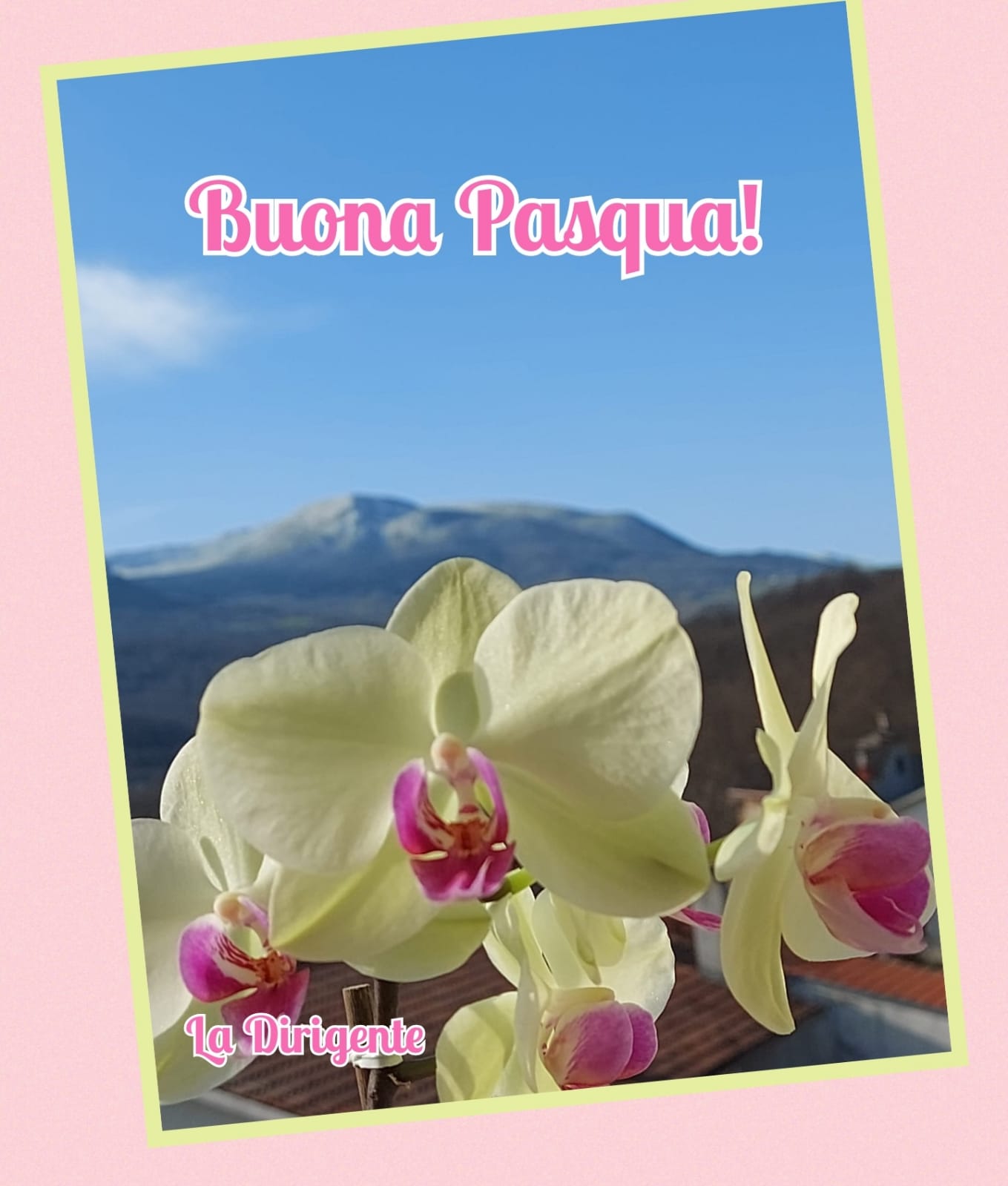 Buona Pasqua istituto