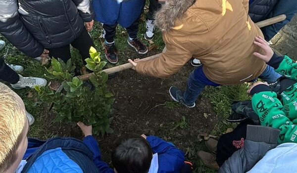 Festa dell'albero - Gli studenti piantano un'albero